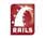 Hire Ruby On Rails Developers